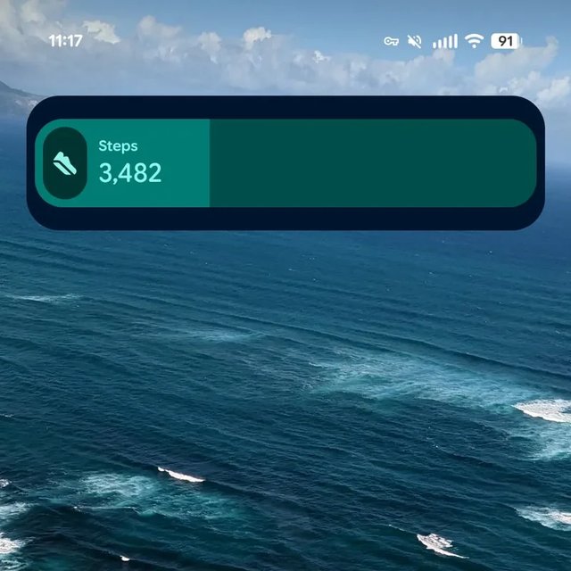 Google Health Widget Example 2