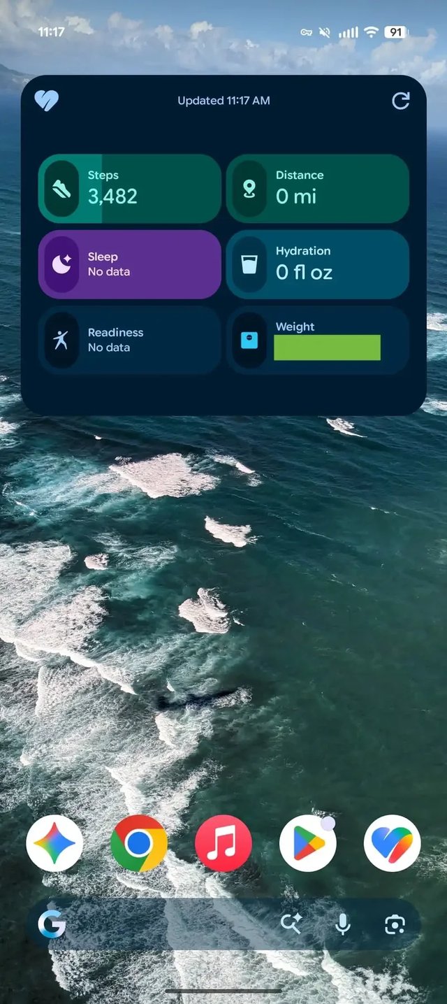 Google Health Widget Example 1