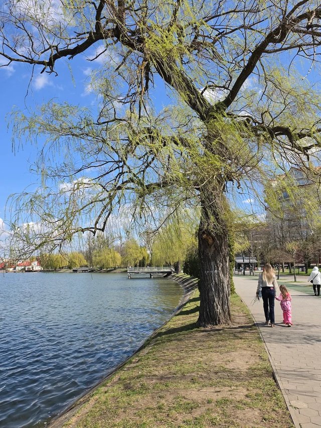 Park Photo 4
