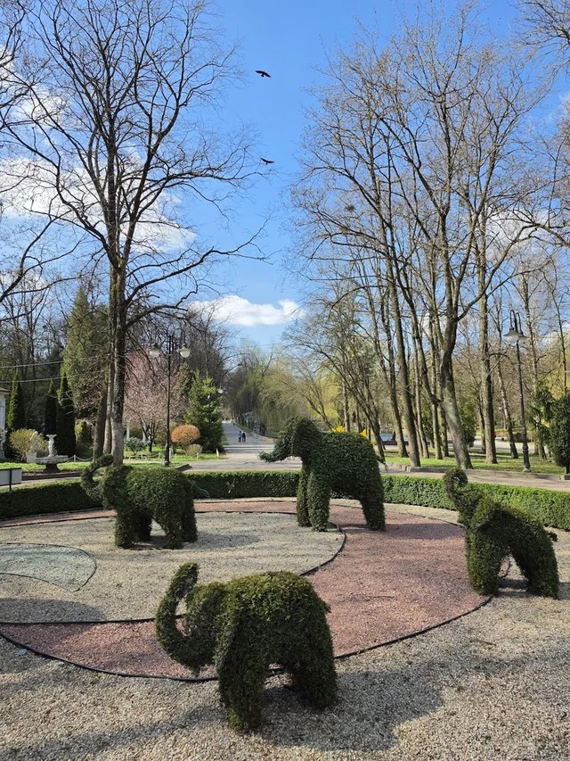 Park Photo 2