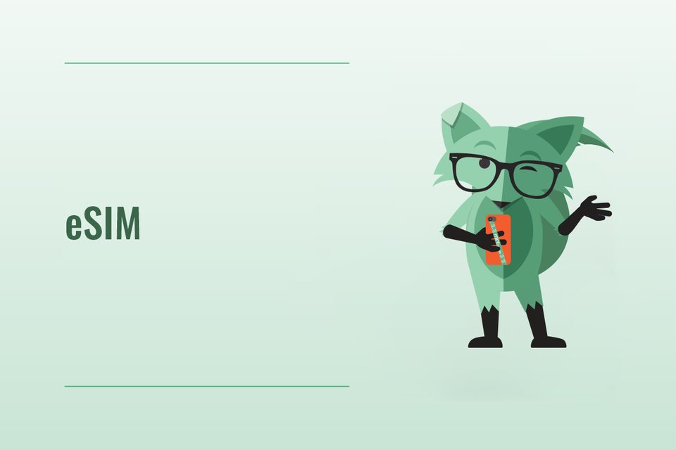 Mint Mobile SIM Card