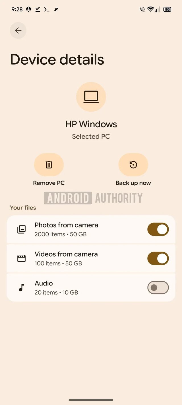 Automatic backup demo 3