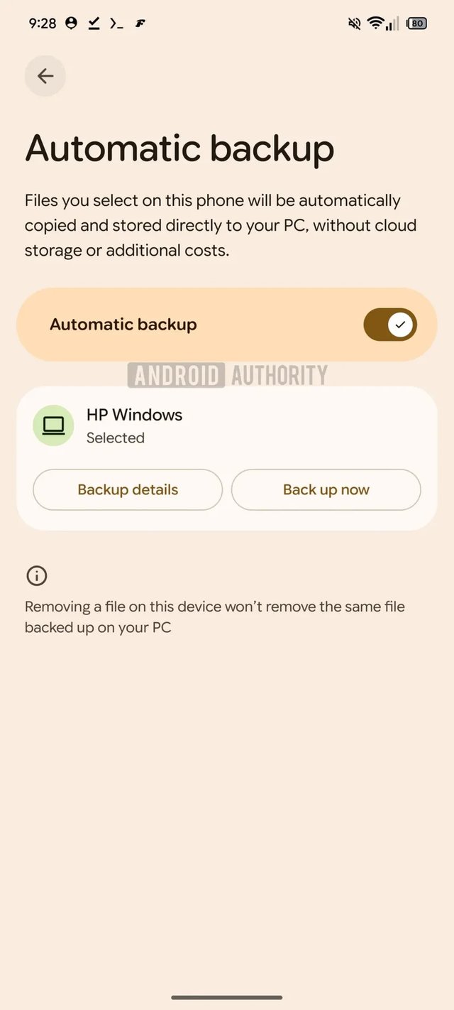 Automatic backup feature demo