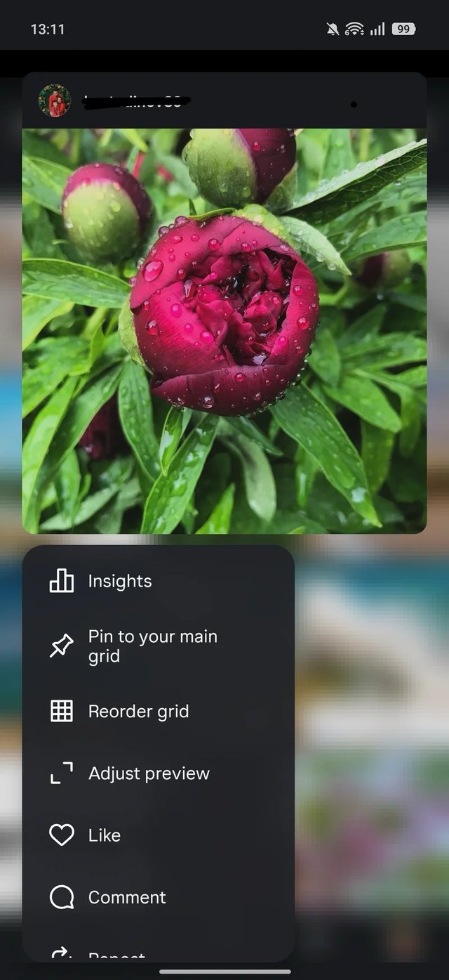 Instagram Photo Grid Example
