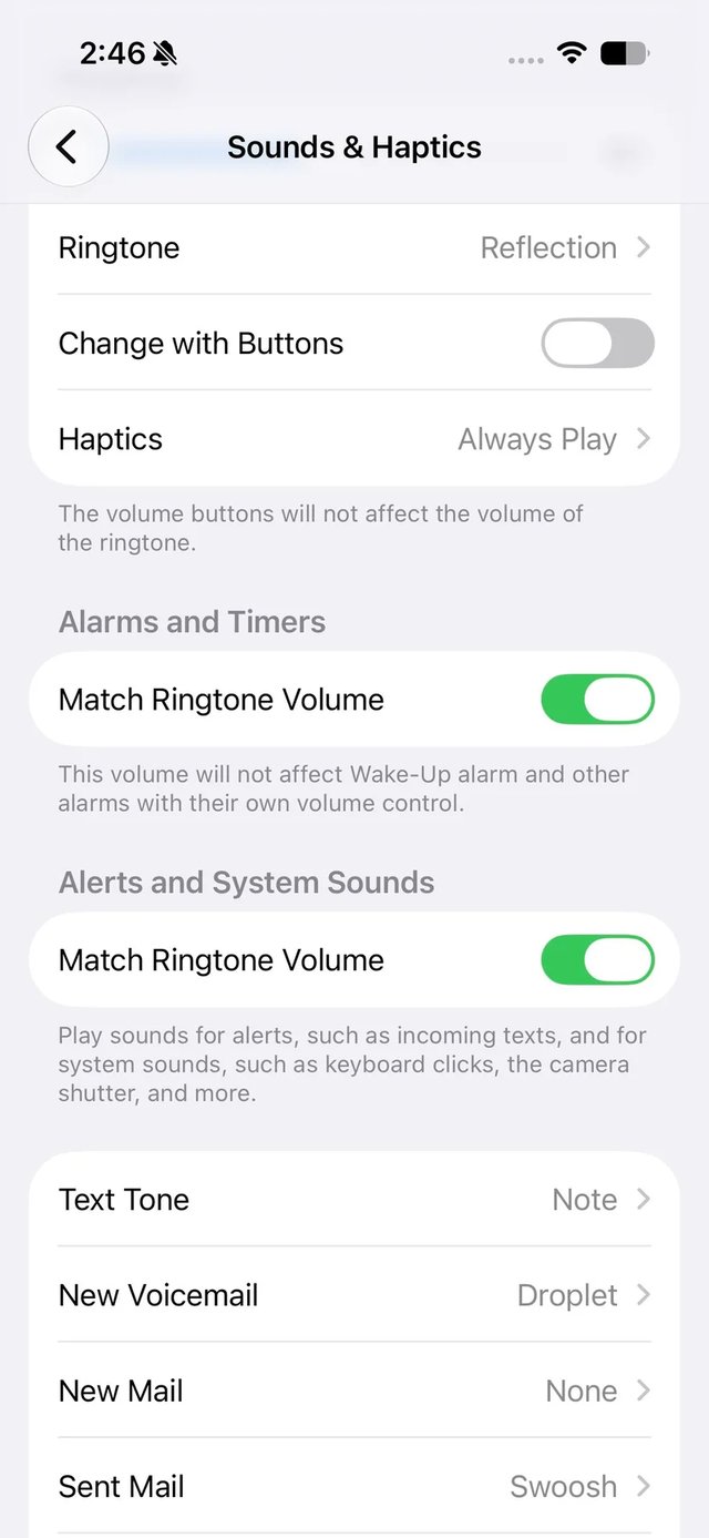 iOS Sound Settings