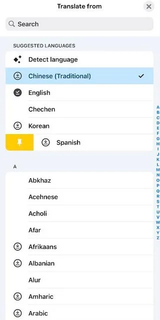 Google Translate Pinned Languages