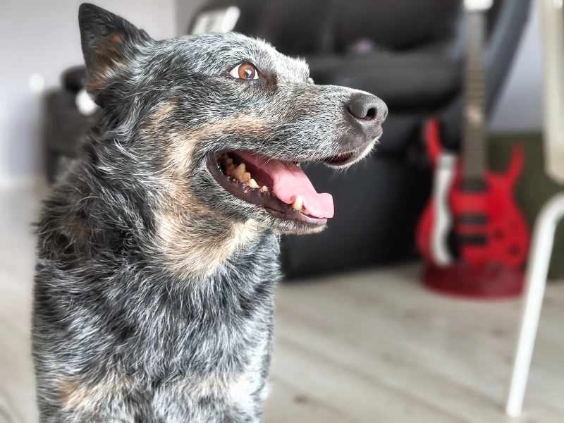 2x Portrait after Day 1 update