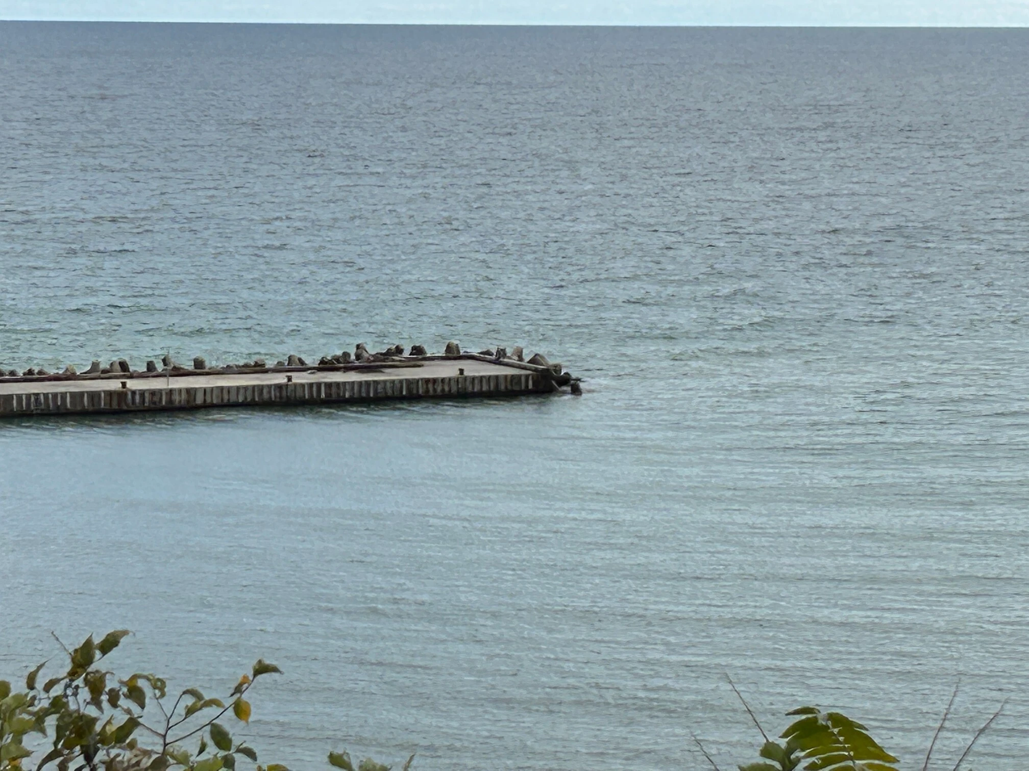 iPhone 14 Plus 5x digital zoom