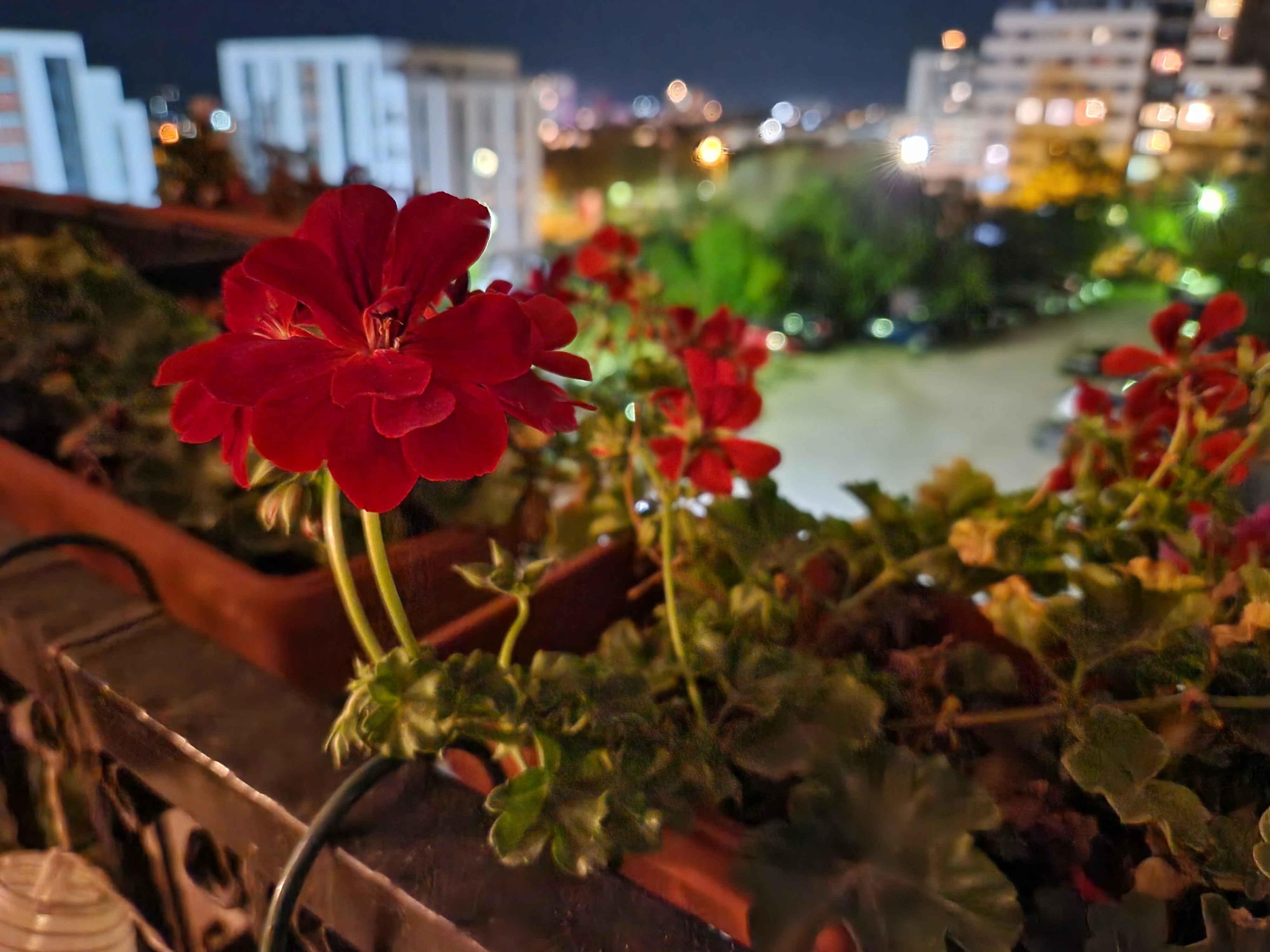 Galaxy S22+ main camera