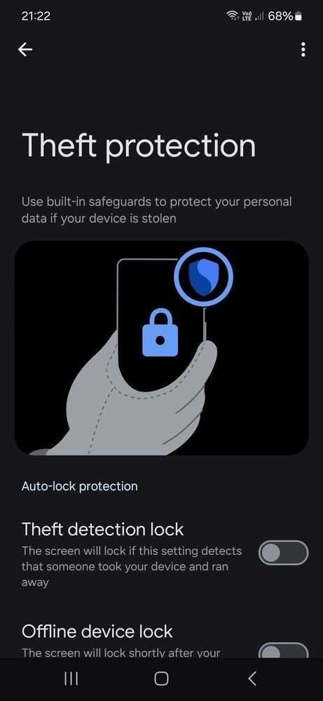 Theft Protection is in the security and privacy settings.
