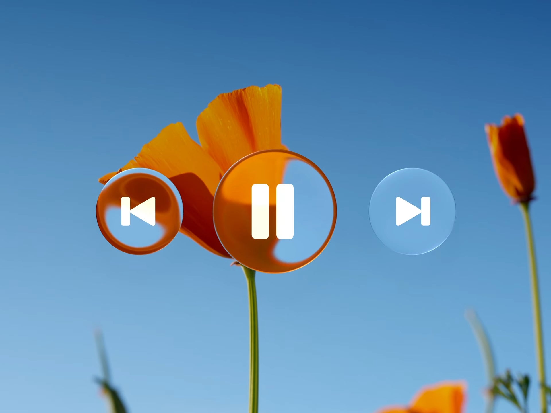 The refraction in Liquid Glass is great.