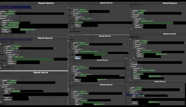 Screenshot with stolen passwords referencing various platforms
