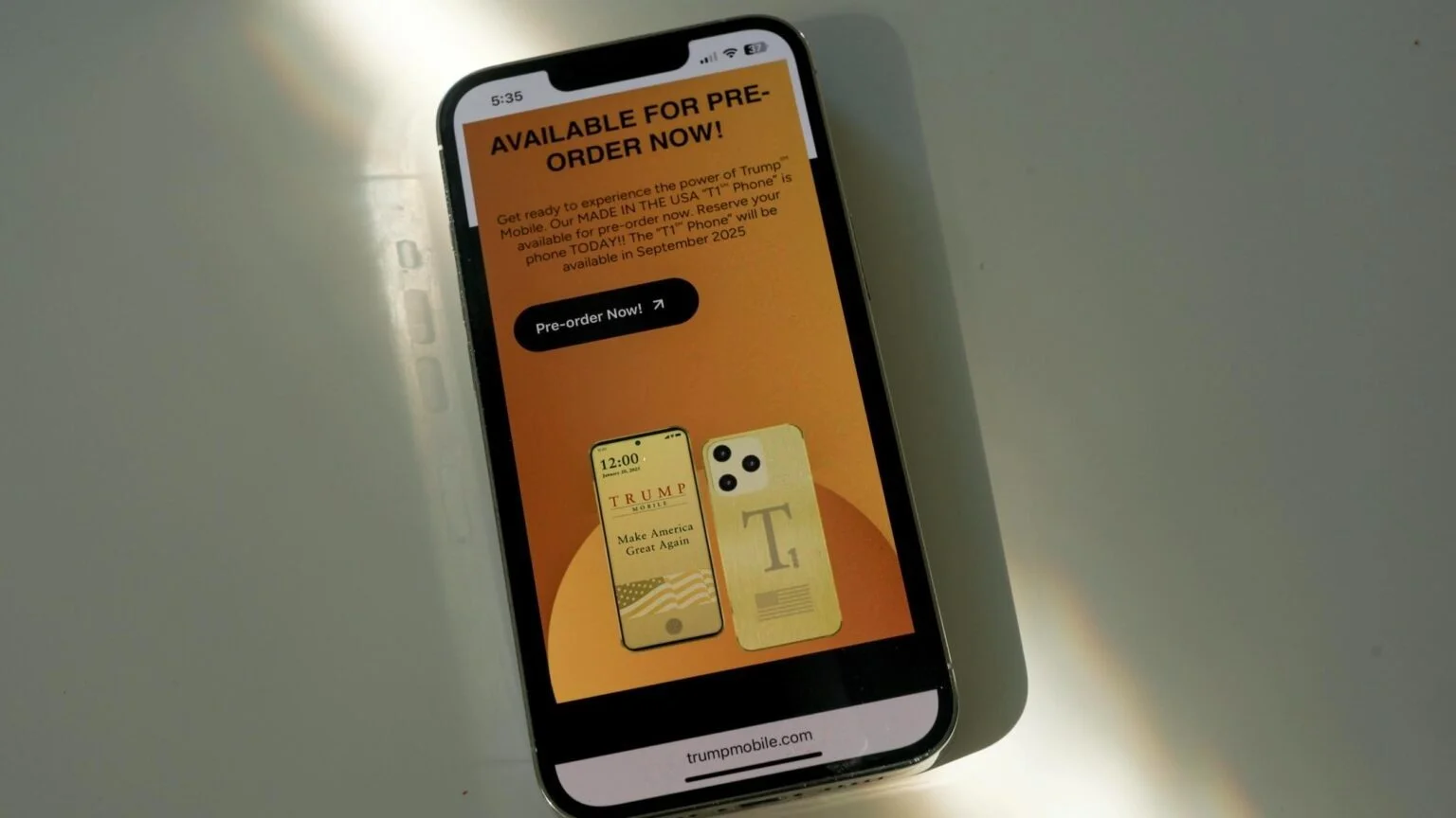 The Wolf of Wall Street reference