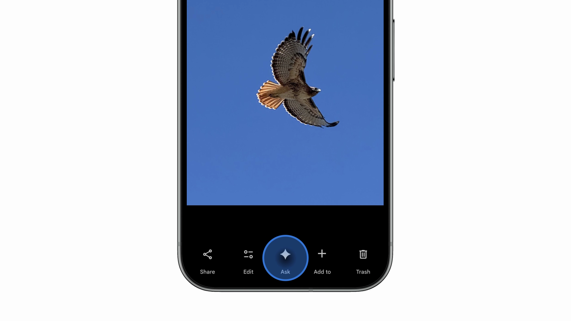 Google Photos Ask button