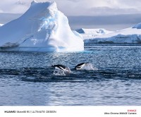 Huawei Mate80 RS Camera Sample