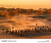 Huawei Mate80 Pro Max Camera Sample