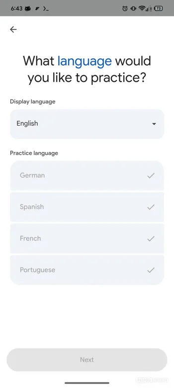 Google Translate Practice Mode Interface
