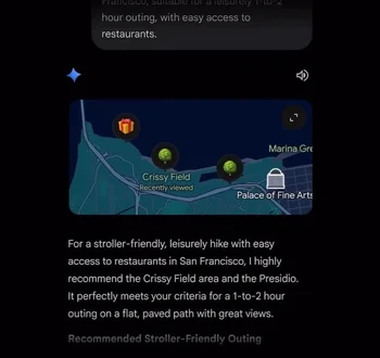 Gemini app map view