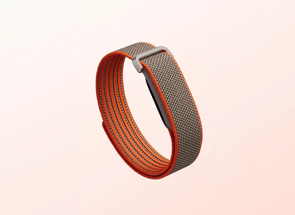 Google Fitbit Air Special Edition
