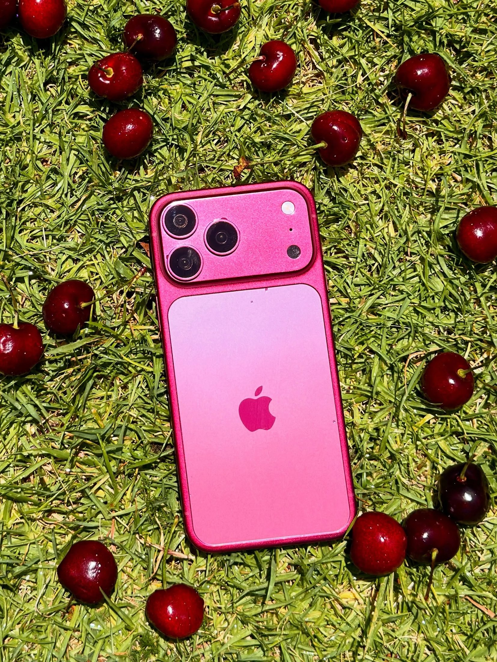 Excited to see Dark Cherry in public
